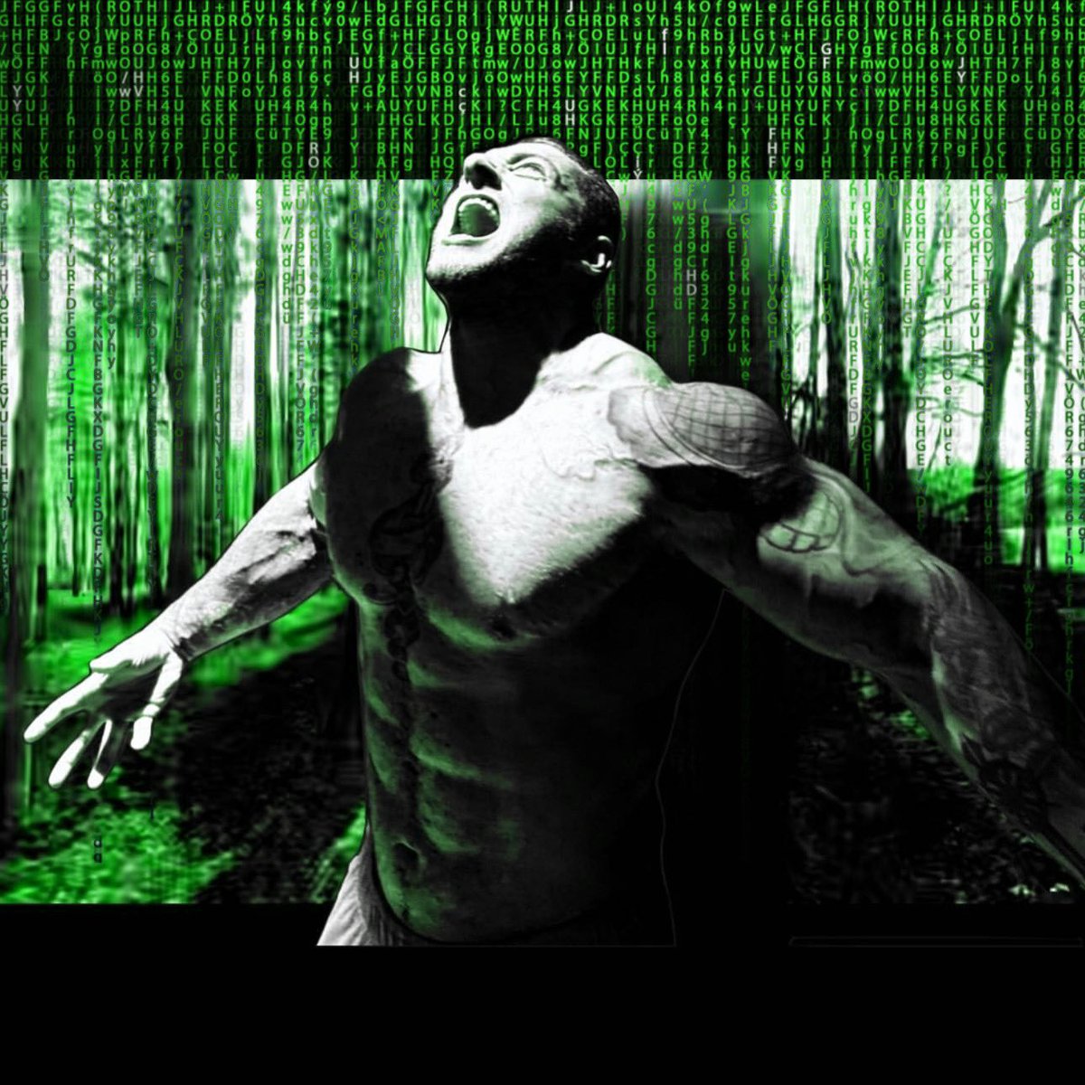 nylesmutant's tweet photo. Follow the yellow brick road
Knowledge and understanding is better than silver and gold https://t.co/I8vqJCKiLz