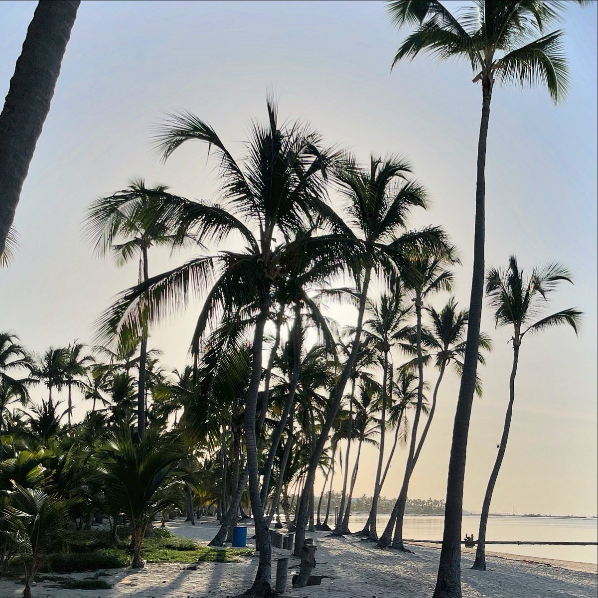 Timelessly.
DR, Has it all.