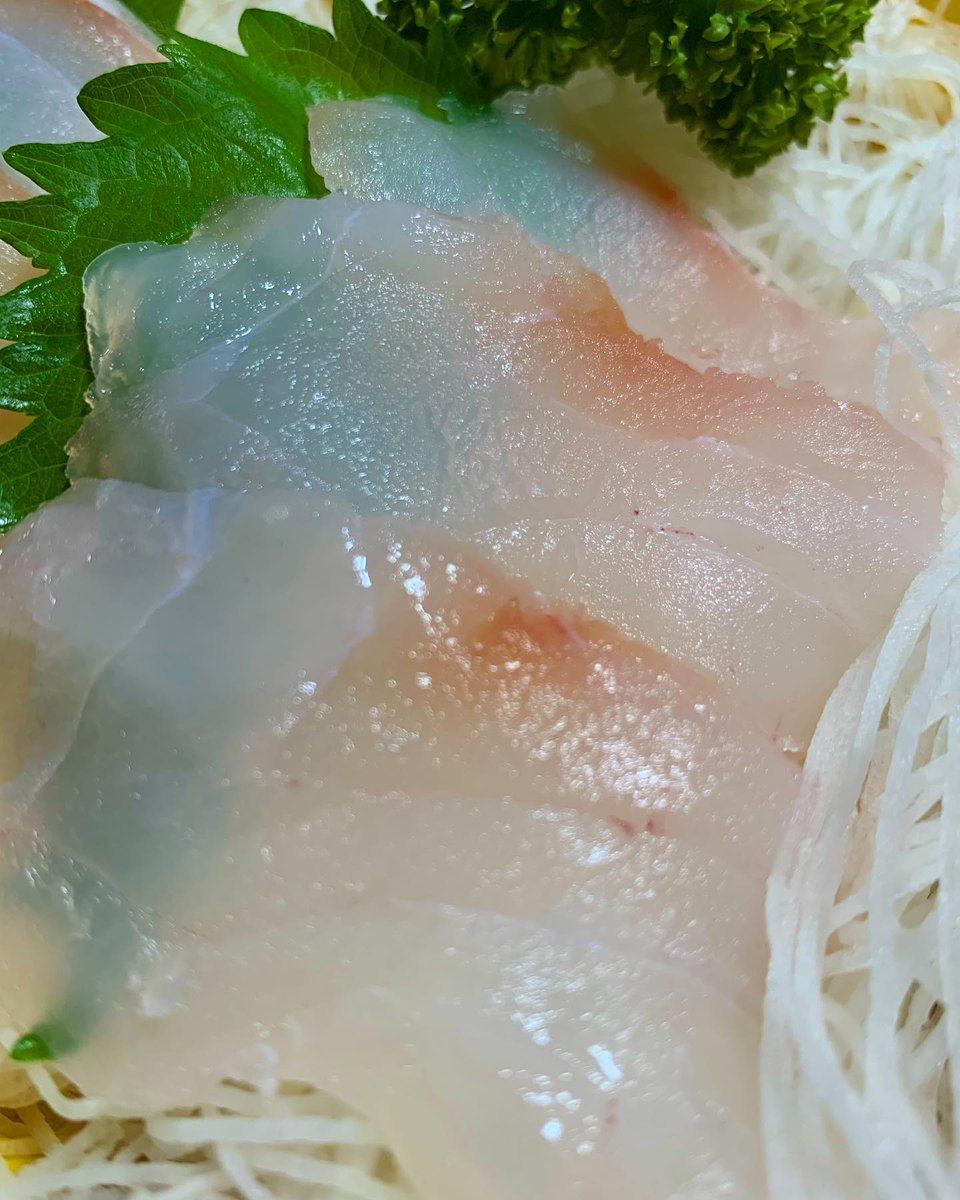 greene_jod16311's tweet photo. 最近食べた刺身🐟
コブダイ
キンメダイ
カミソリダイ
カミソリダイNo. 1🙆‍♂️

#釣り #釣りをする #釣りガール #釣り好き #釣り好きな人と繋がりたい #釣りバカ #釣り女子 #沖釣り #船釣り #海釣り #釣りスタグラム https://t.co/Joc0vkOvi9