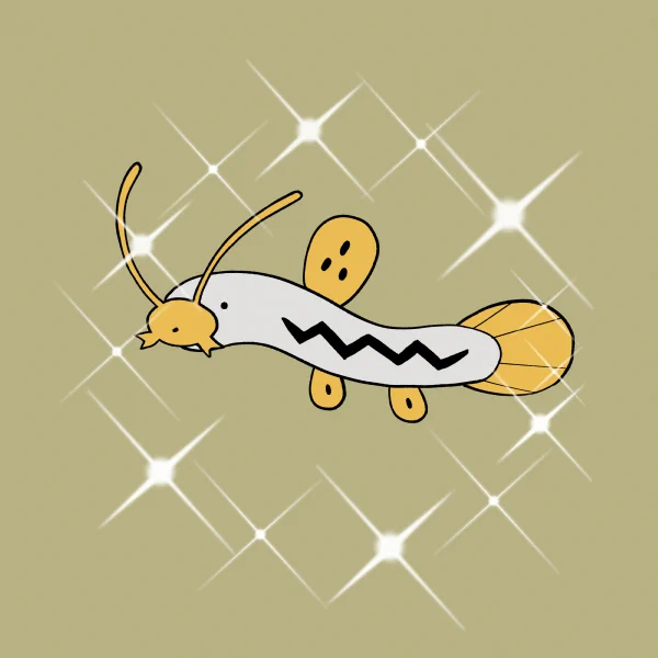 どじょっち。リクエストさんきゅううううう!! 