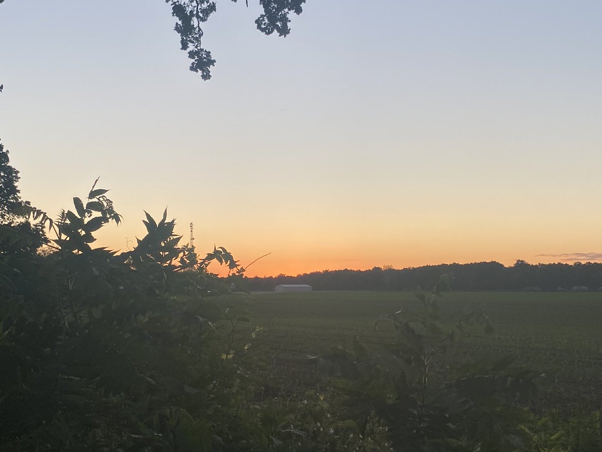 Jason Dillenbeck tweet media