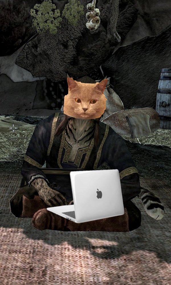 DevCat 💻 tweet media