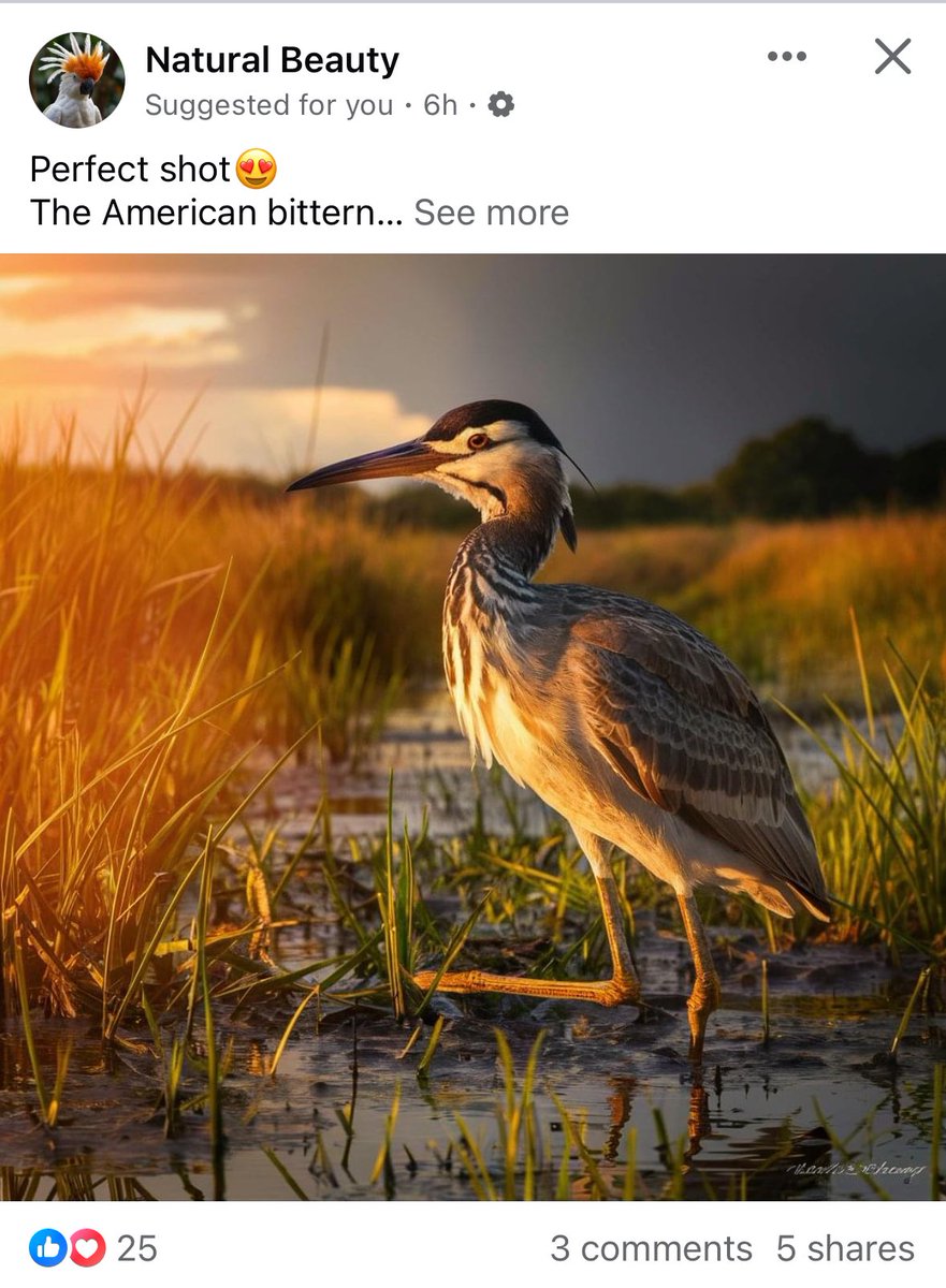 The Birdist tweet media