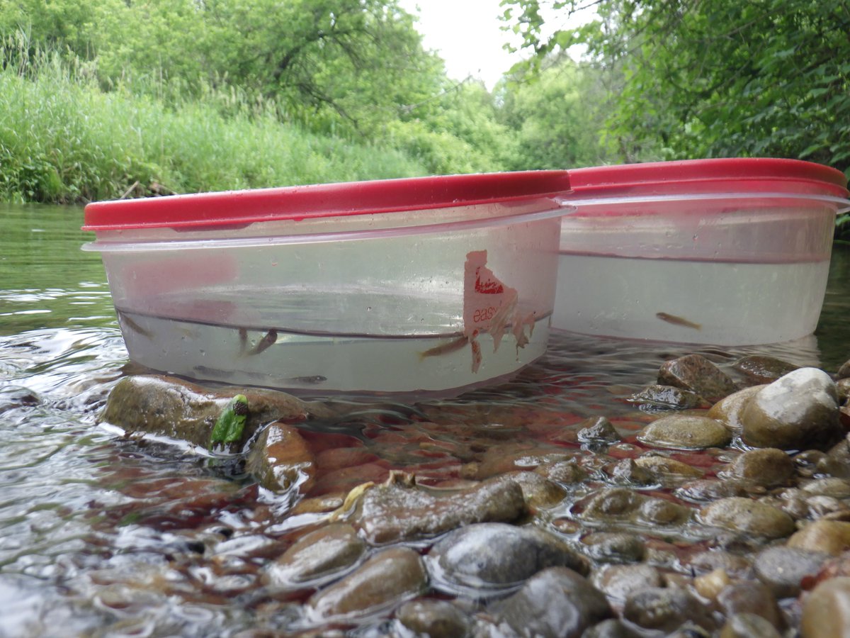 Rouge Valley CC tweet media