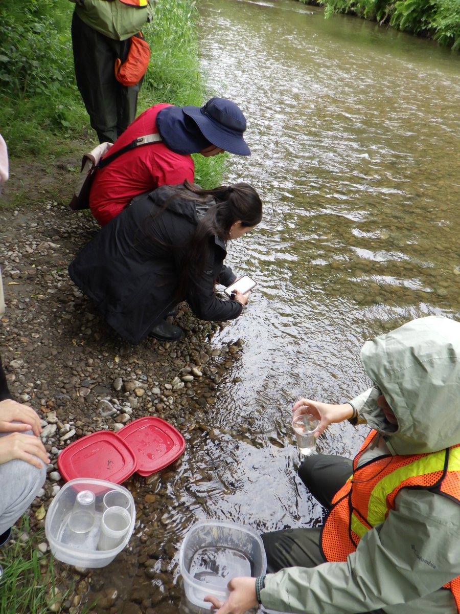 An amazing morning stocking Atlantic Salmon fry into Duffins Creek with <a href="/ofah/">ofah</a> to help bring back the salmon. Thanks to everyone that came out.