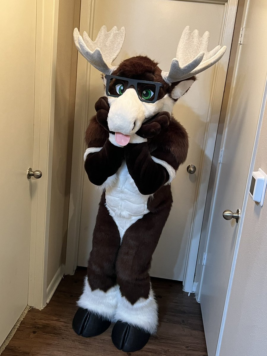BiffTheMoose's tweet photo. The moose is looseeeeeee!
So happy to have gotten my fursuit from the amazing @PrimalSuits!
So excited to wear him around at cons in the future! 💚🫎 https://t.co/C1IxwUal2x