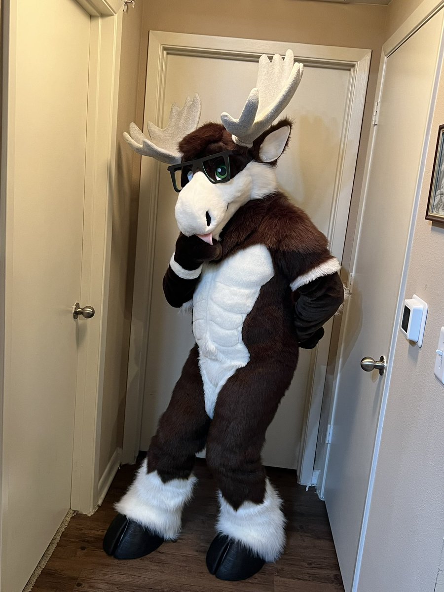 BiffTheMoose's tweet photo. The moose is looseeeeeee!
So happy to have gotten my fursuit from the amazing @PrimalSuits!
So excited to wear him around at cons in the future! 💚🫎 https://t.co/C1IxwUal2x
