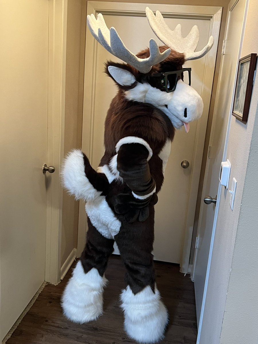 BiffTheMoose's tweet photo. The moose is looseeeeeee!
So happy to have gotten my fursuit from the amazing @PrimalSuits!
So excited to wear him around at cons in the future! 💚🫎 https://t.co/C1IxwUal2x