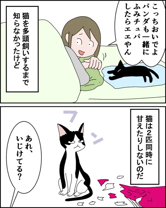 子猫と添い寝がしたい!【2】
(0/3)

#漫画が読めるハッシュタグ #猫 #コミックエッセイ 