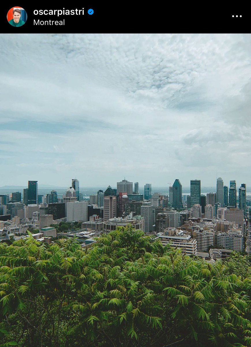 Arcadio Marcuzzi tweet media