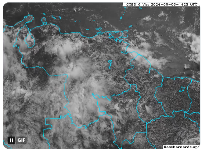 Temperatura mínima 23.0 °C (09/06), máxima 29.0 °C (08/06}, la precipitación fue 0.0 mm, en la estación Universidad Central de Venezuela (UCV), Facultad de Ingeniería. Hasta la fecha se han registrado 38.8 mm y el promedio de junio es 110.8 mm <a href="/cgilsolorzano/">Alfredo Gil</a>