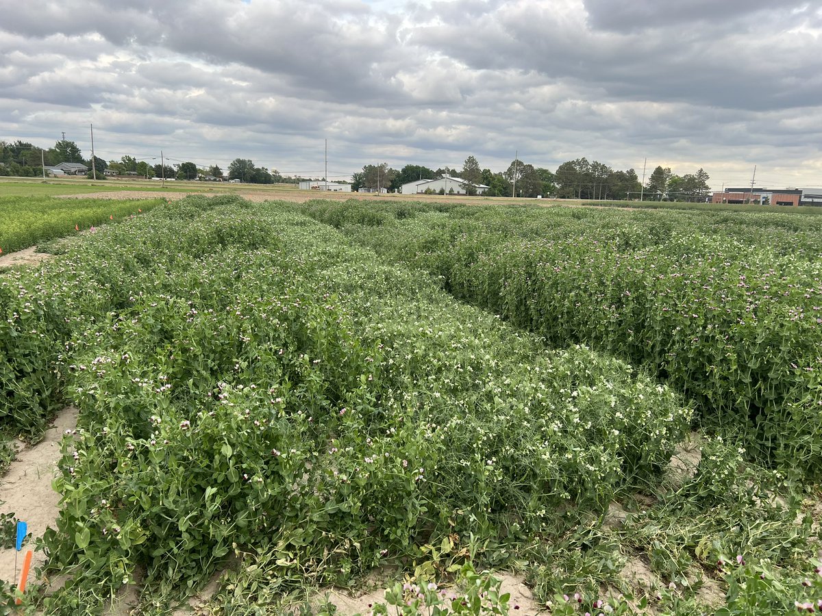 Dipak Santra tweet media