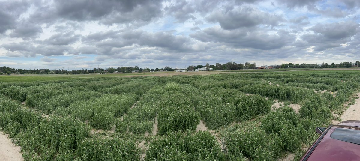 Dipak Santra tweet media