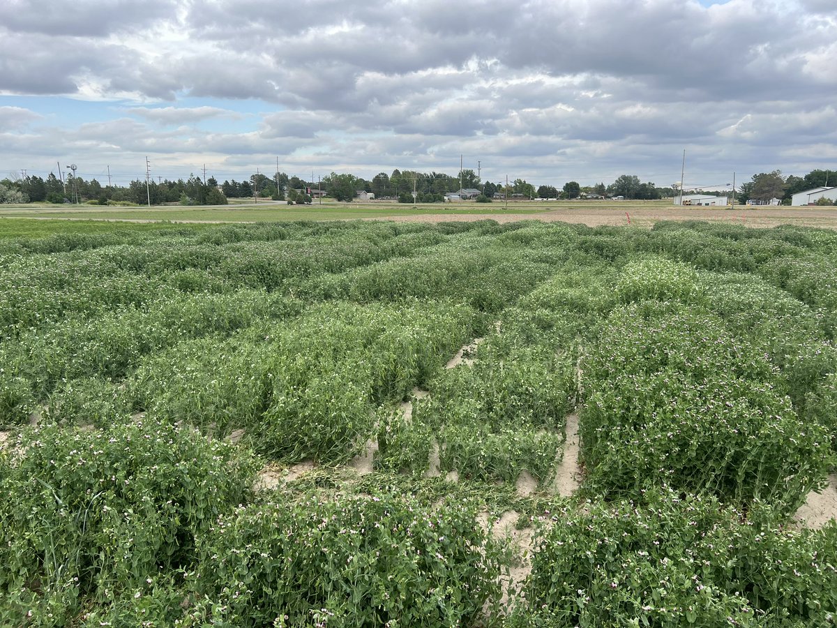 Dipak Santra tweet media