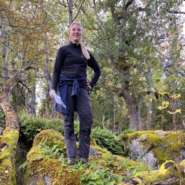 NordSalt tweet media