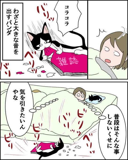 (2/3) 