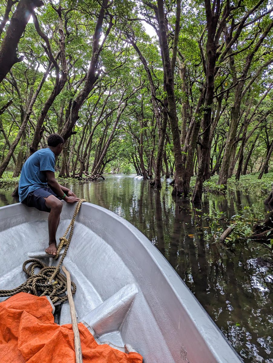 SprepChannel's tweet image. 🇫🇯 Forty-eight representatives from the provinces of Namosi, Serua and Rewa met to improve the management of natural resources in the #Navua Catchment and #Beqa Lagoon.

🔗➡️ tinyurl.com/yfvr4u9v 

#ResilientPacific