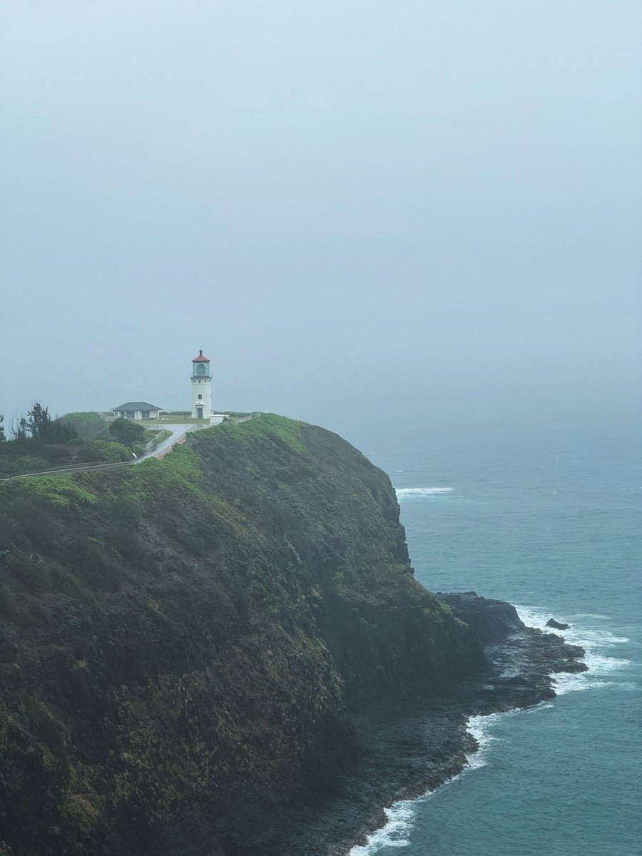 Mo Balapour tweet media