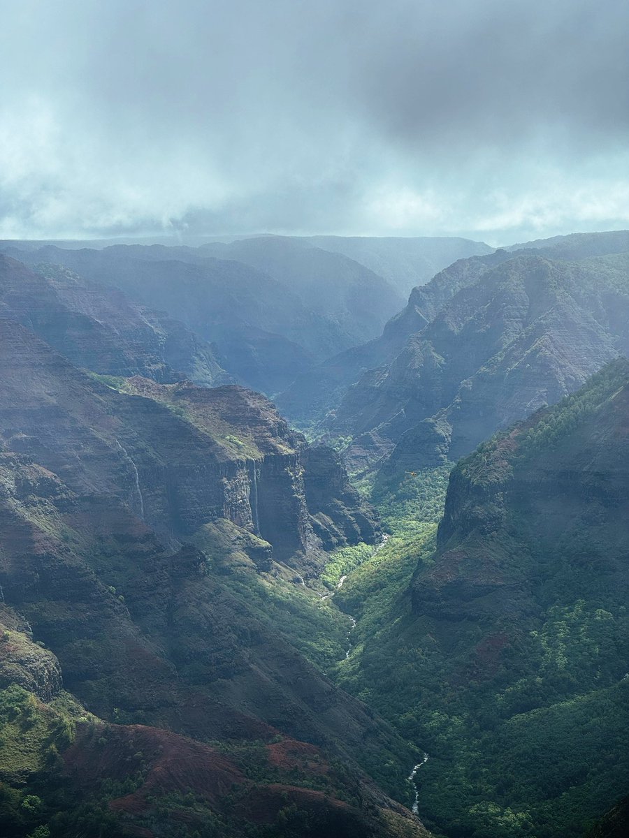 Mo Balapour tweet media