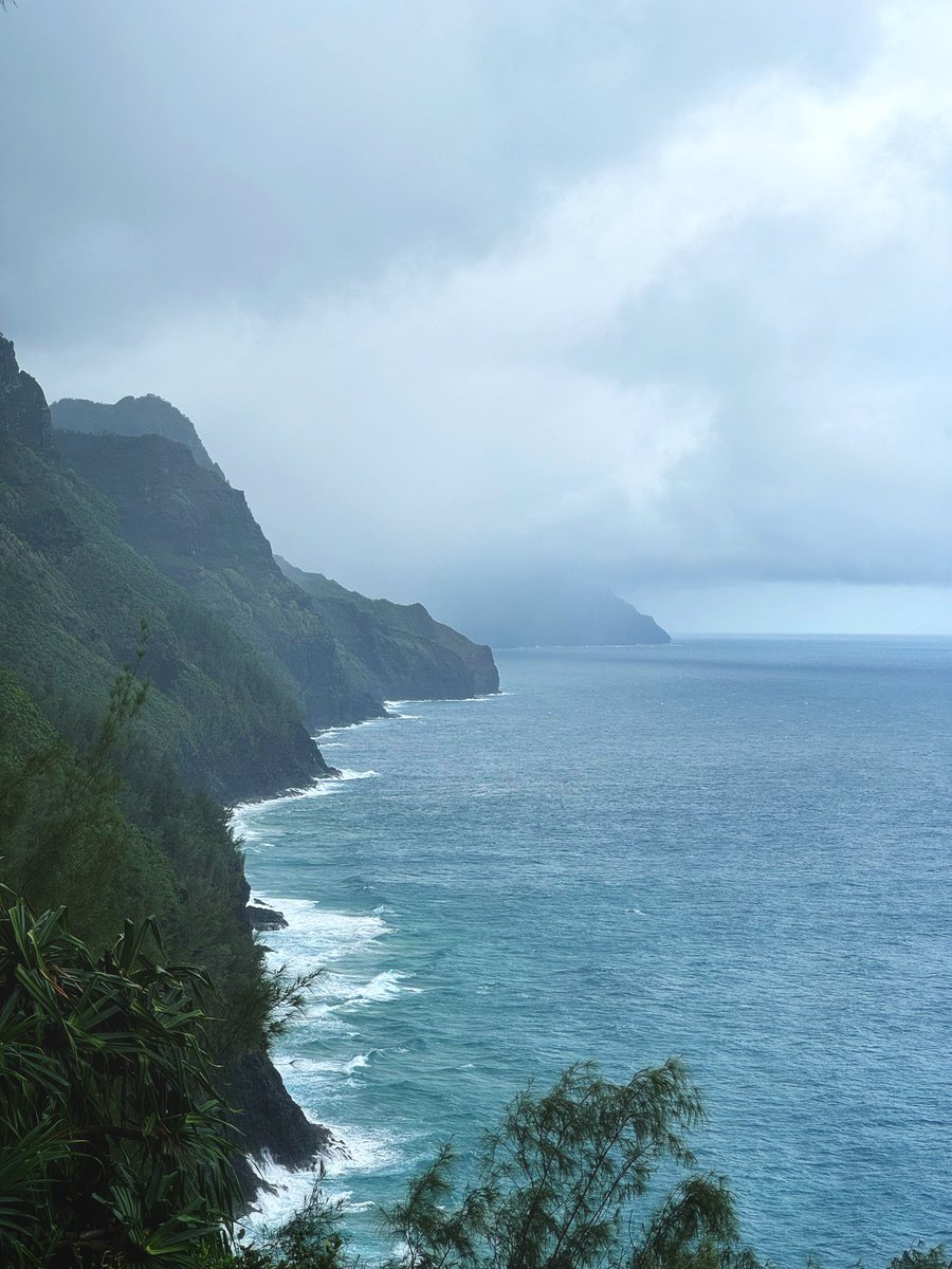 Mo Balapour tweet media