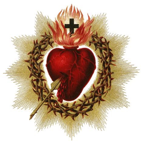 tjswriter's tweet photo. Heart of Jesus, full of goodness and love, have mercy on us. https://t.co/ymqrLcymKZ