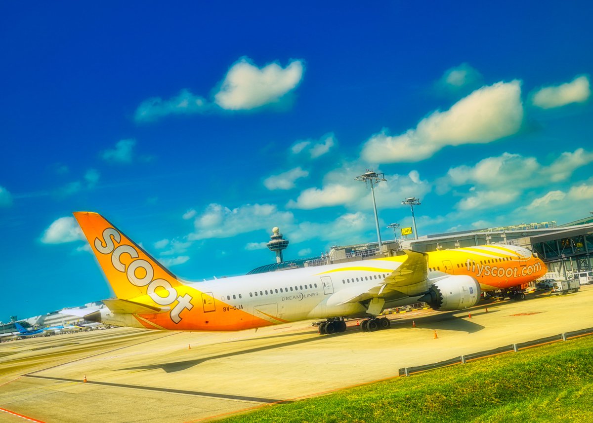 reiwasky's tweet image. お金💸をかけずに😉
格安LCCスクートで台湾🇹🇼✈️
便名：TR899
機材：B787-8
航路：成田－台北桃園
運賃：往復４万円台

☑️B787なので通路2つ
　３－３－３の配列
☑️４時間前後で台湾に到着
☑️桃園空港ターミナル１に到着
❌入国手続きは１時間待ちが多い

詳細動画
youtu.be/4ugSXVYK8J4

#flightlog