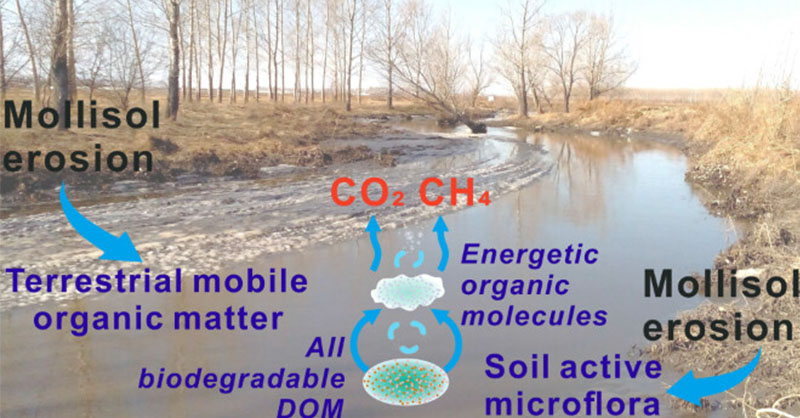 EnvSciTech's tweet image. Comparative #mesocosm experiments show that #mollisol erosion-driven export and biomineralization of terrestrial organic matter and concurrent changes in microflora in receiving rivers contribute to #greenhousegas emissions.

Read this ES&amp;amp;T article: go.acs.org/9Jq