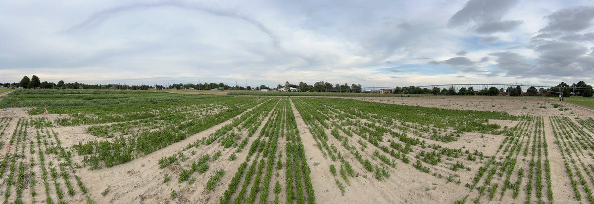 Dipak Santra tweet media