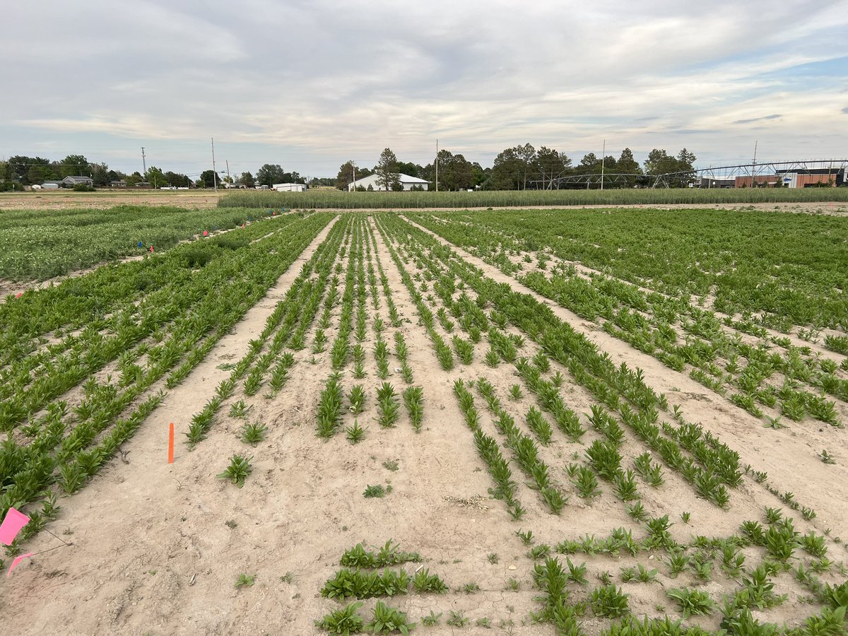 Dipak Santra tweet media