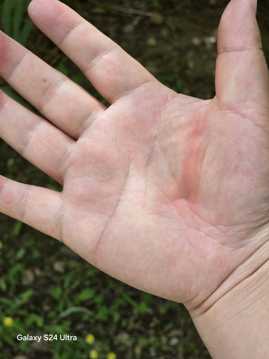 UniverseIce's tweet image. When I use Galaxy S24 Ultra continuously for 10 minutes.