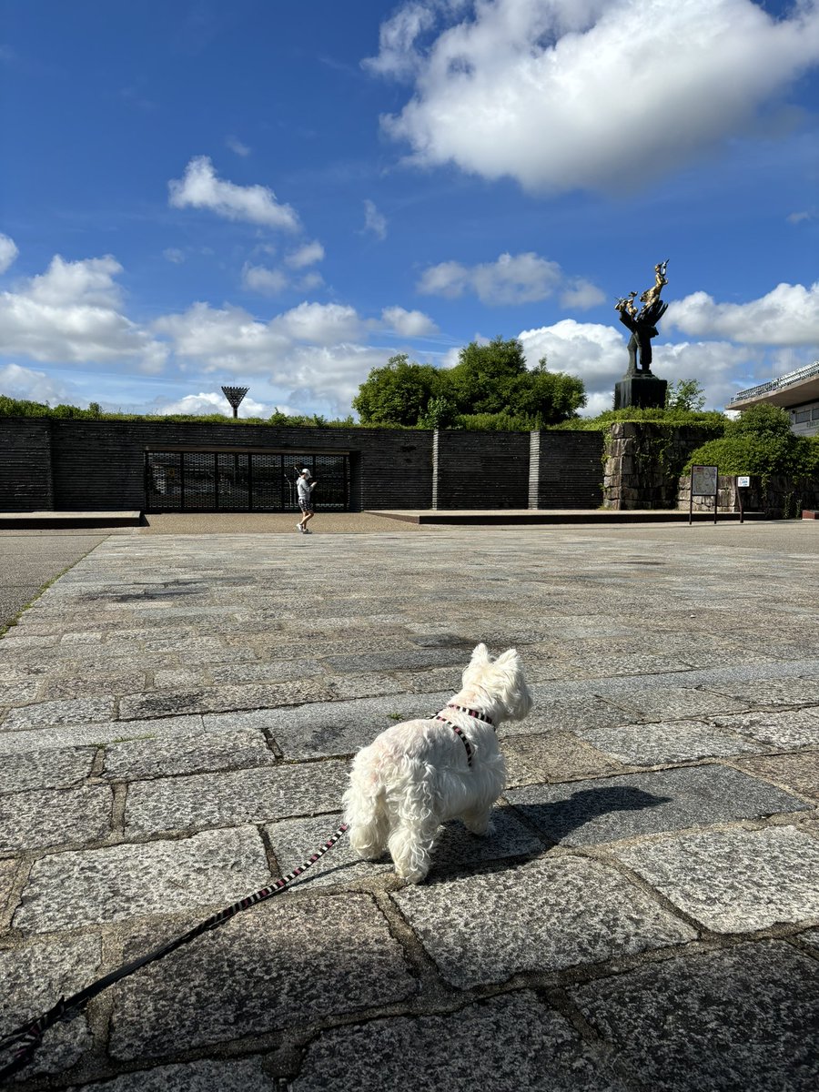 nasuke03's tweet image. 雨あがりました
今日も一日ご安全に