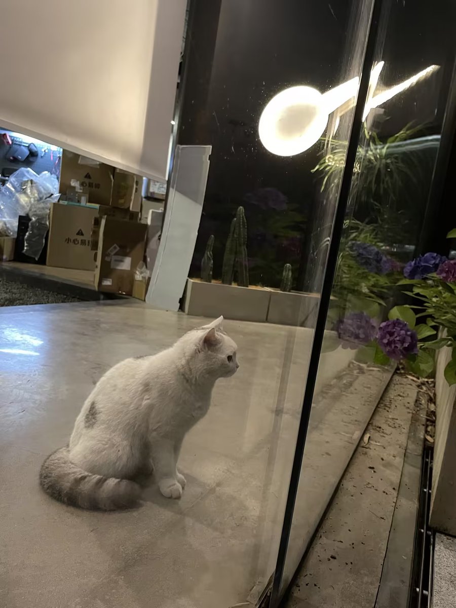 YangQi_917's tweet photo. https://t.co/tnnJu9WiT5
https://t.co/IBRmrT0q64
Black Myth : Wukong has  started pre-Drders . Thanks for your attention and support~ https://t.co/LA7bFcrUnd