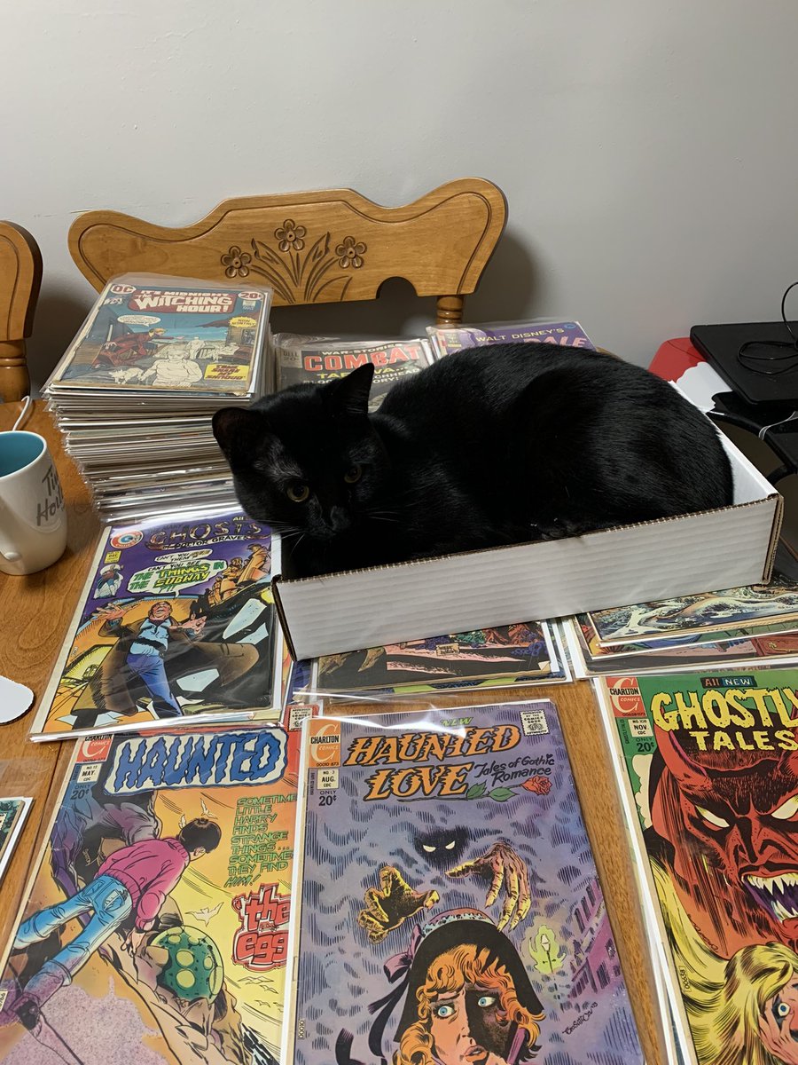 timwest49's tweet photo. Does anyone else have a black cat problem when trying to bag, board and catalog horror comics? https://t.co/1iMKRqw0cd