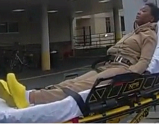 Politics On 𝕏 tweet media