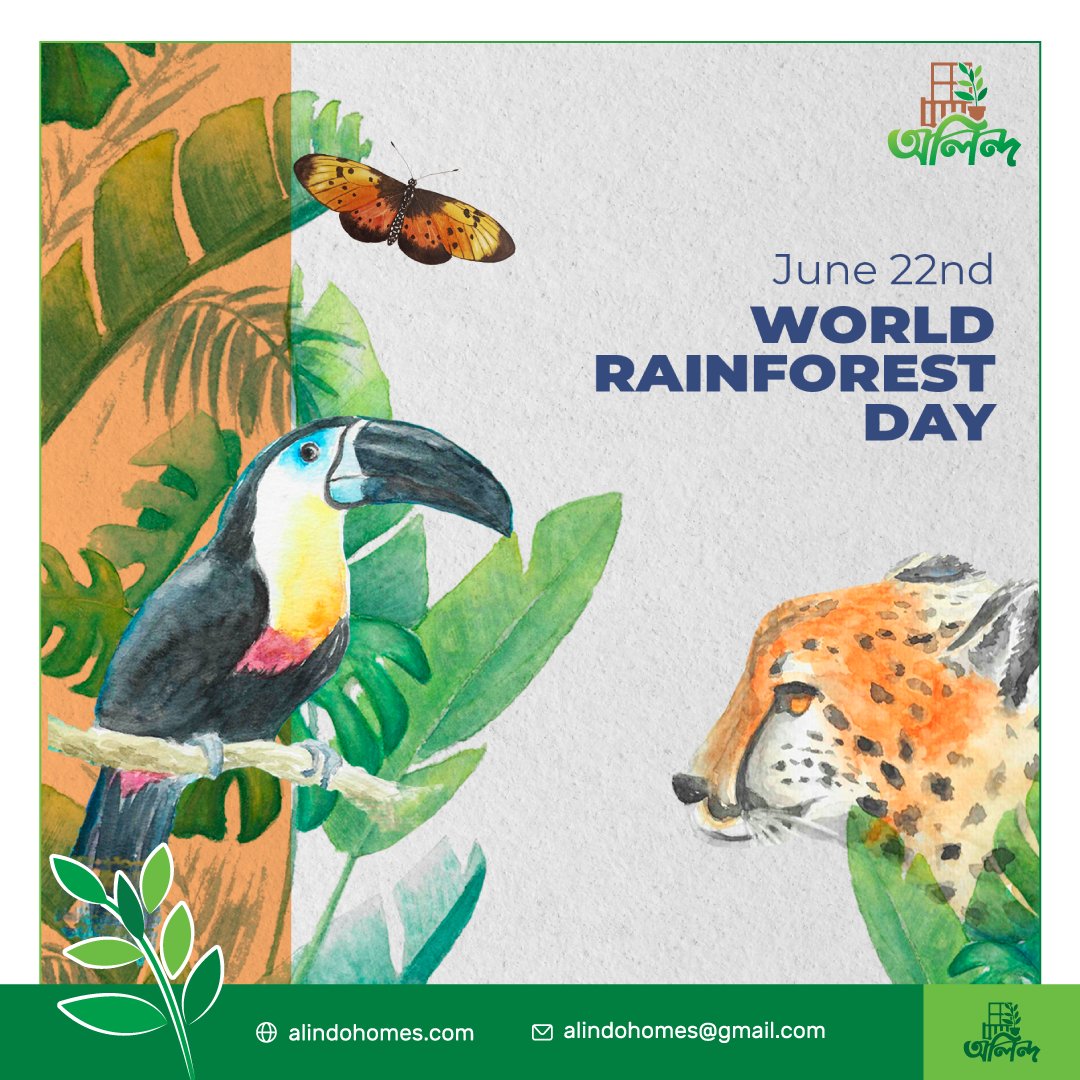 alindohomes's tweet photo. World Rainforest Day..📷📷
"Preserve Rainforests, Preserve Our Planet."
#গাছ #alindohomes #অক্সিজেন #প্রকৃতি https://t.co/JmcaexXFxj