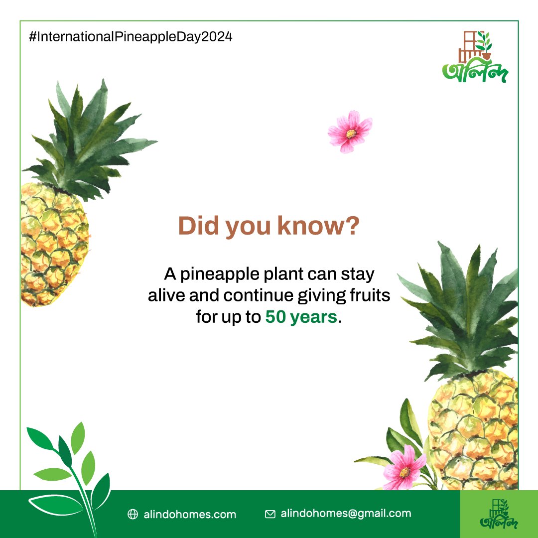 alindohomes's tweet photo. #internationalpineappleday2021
#alindohomes #অক্সিজেন #প্রকৃতি #গাছ https://t.co/5YgcErJrGH