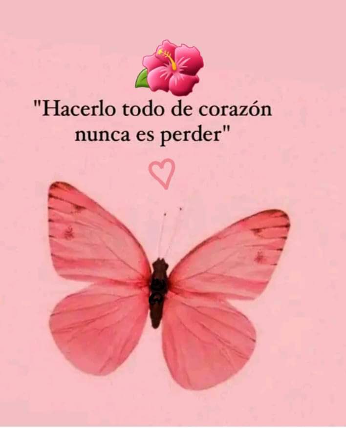 DiariodeReinas's tweet photo. https://t.co/sIdyHHO7Ar