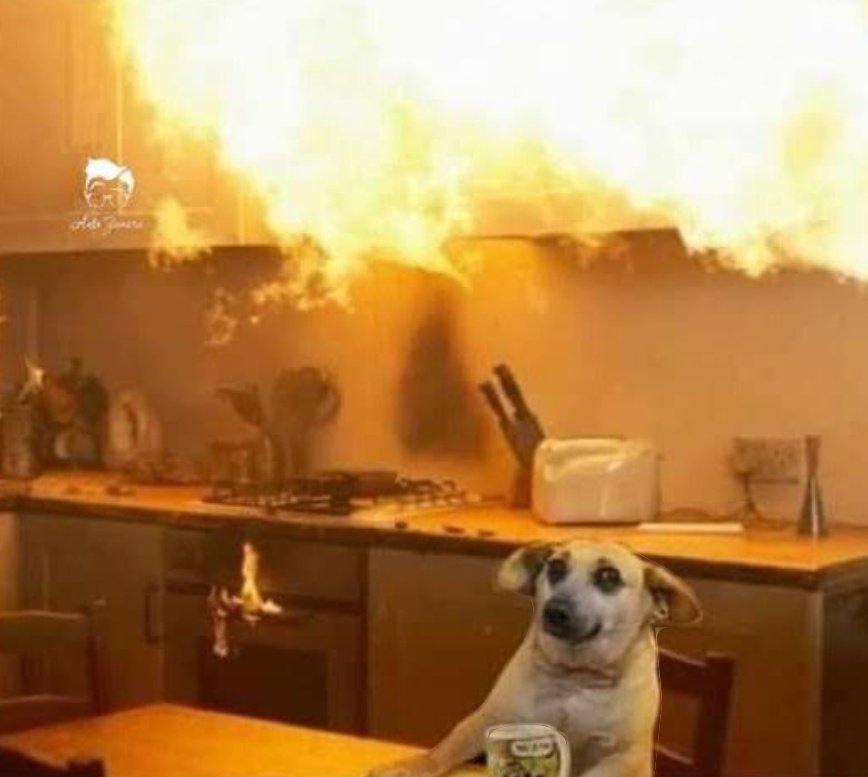 soyanabemeri's tweet photo. El rey grupero cocinando.

#MasterChefCelebrity https://t.co/bcm4iM95Mx