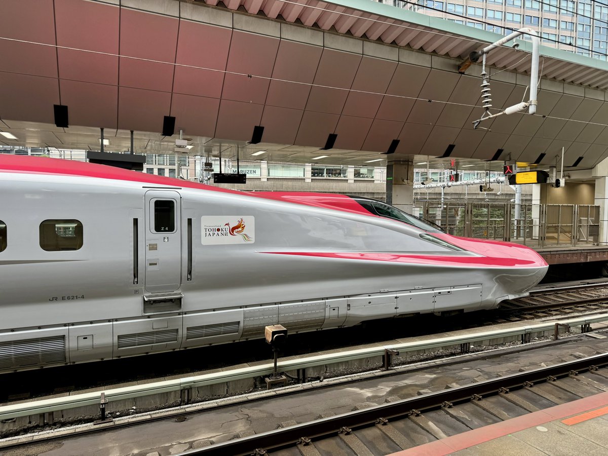 現在E8系新幹線を中心にTOHOKU Relaxロゴが貼られていますが、E6系だと