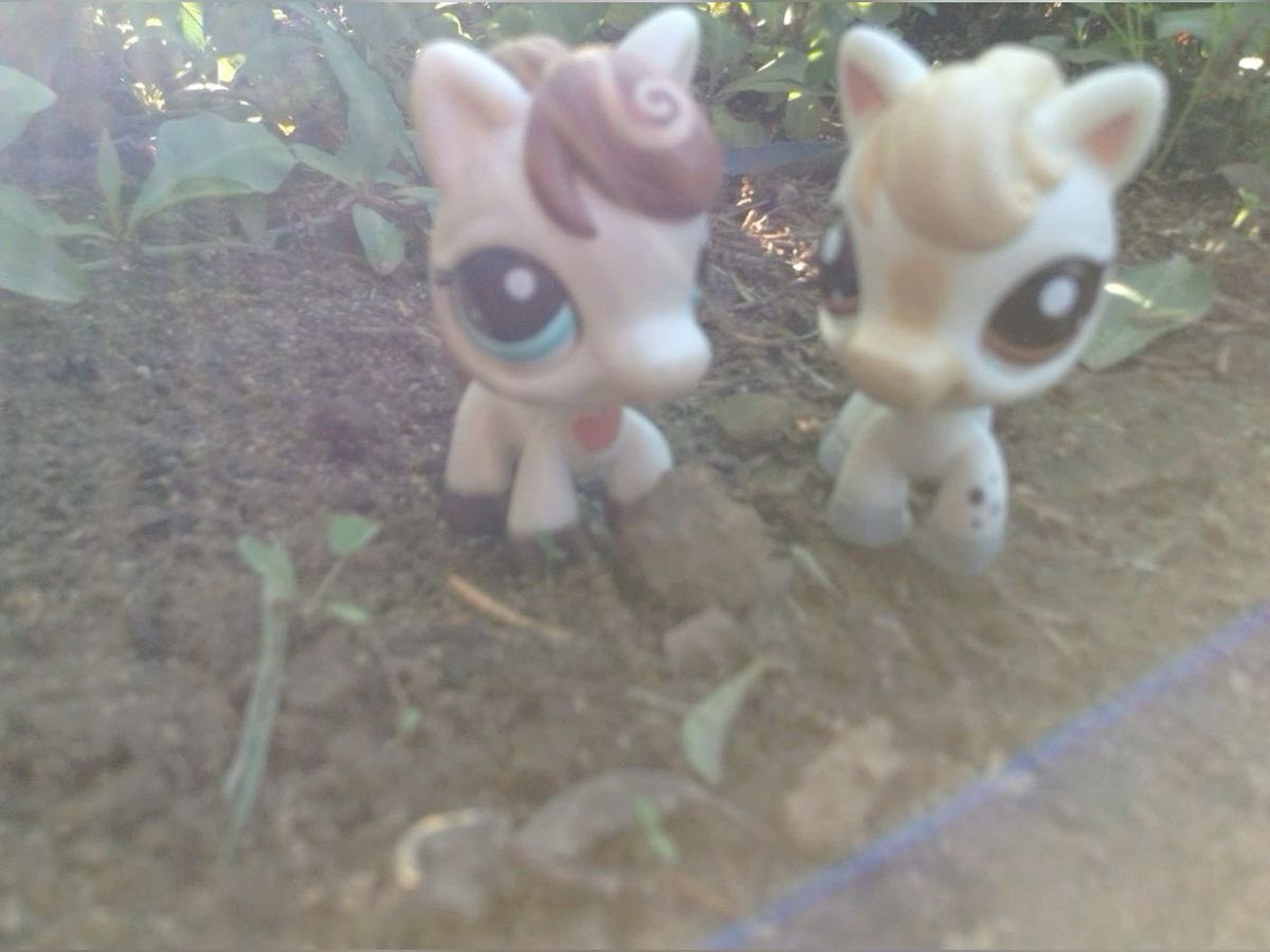 vampirizeu's tweet image. 