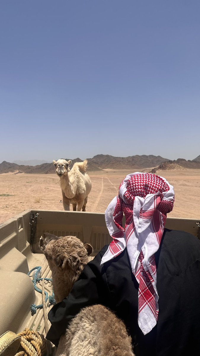 حني عليّ يا فاطري لا تحنين 
نار الفراق اللي بحشاك بحشايه