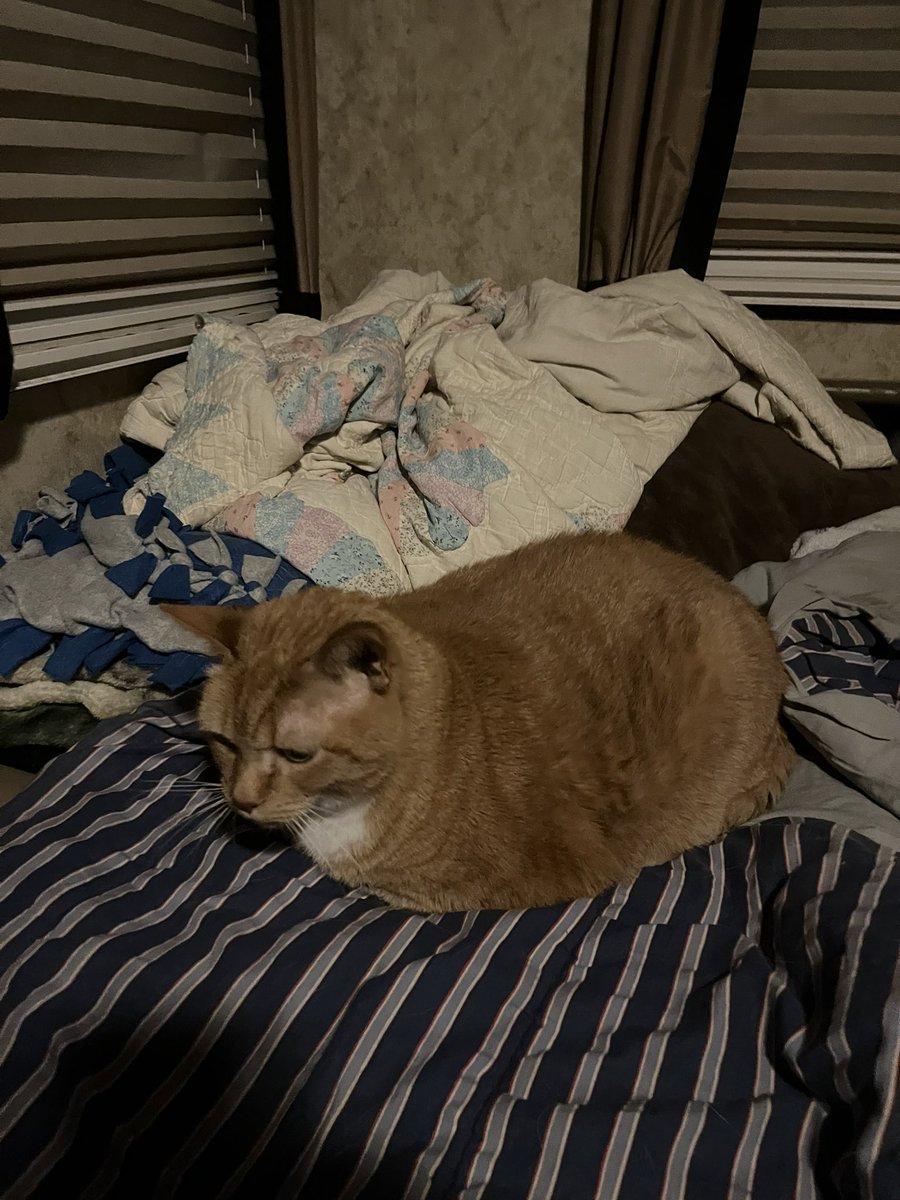 LJLogan5's tweet photo. 🍞 https://t.co/gc586KqNAs