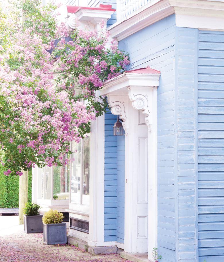 Travellers can discover Charleston, South Carolina’s rich culture and picturesque coastal setting with daily non-stop flights from Toronto. ow.ly/o4qM30sE5m4