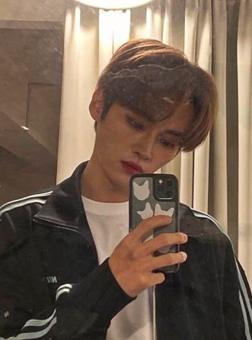 ݃ 🐰﹔teasaurus tweet media