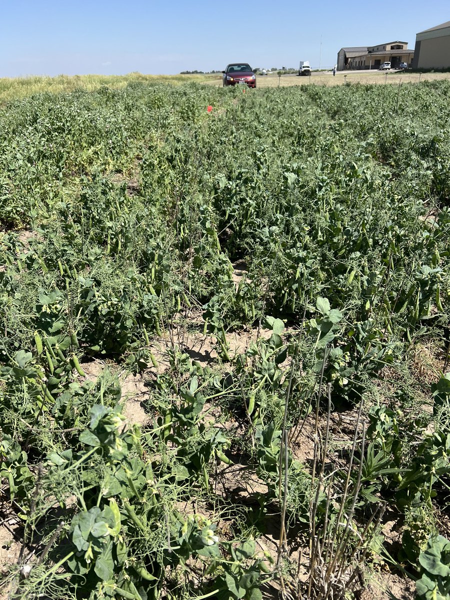 Dipak Santra tweet media