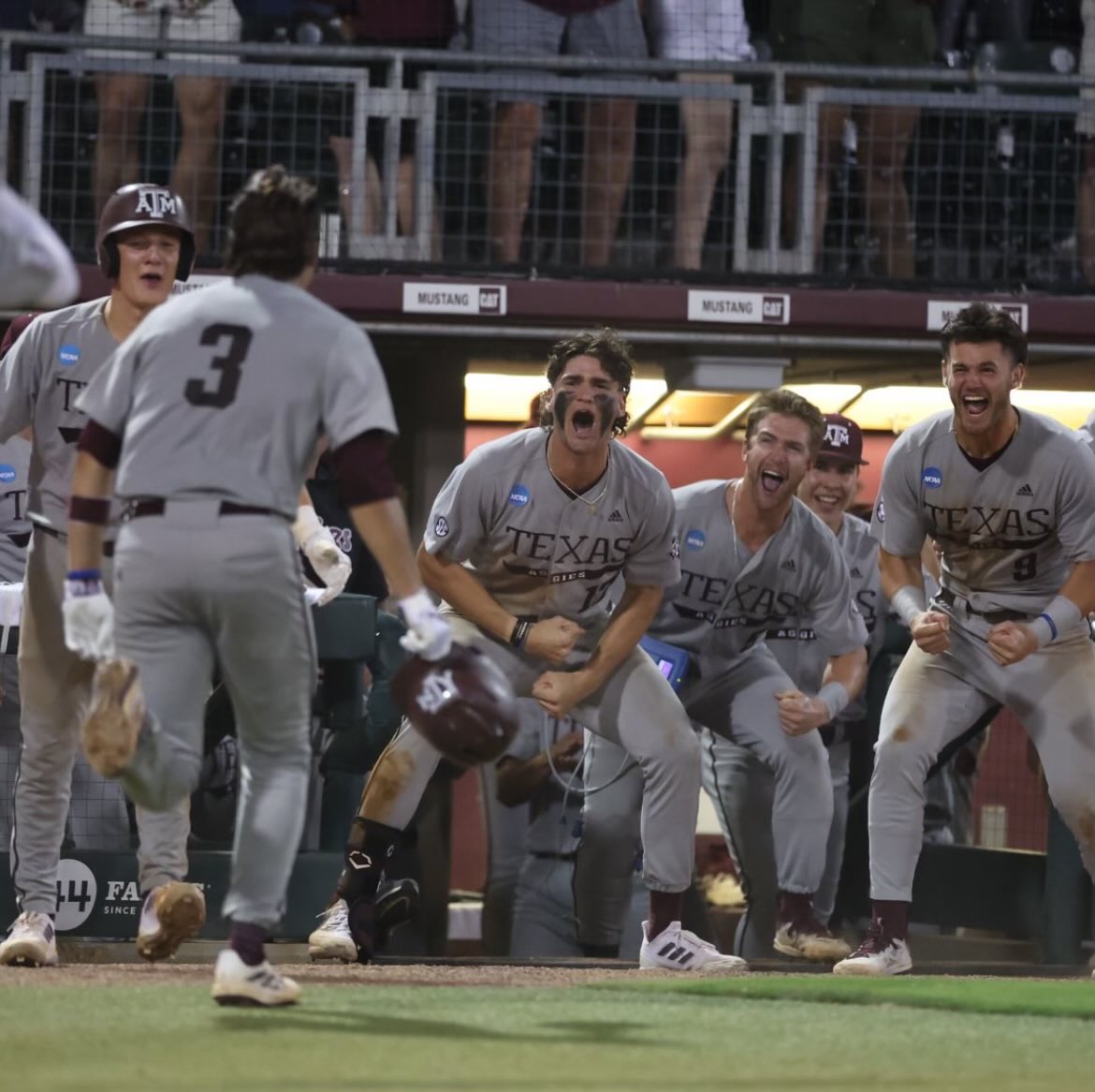 Cameron Holy tweet media