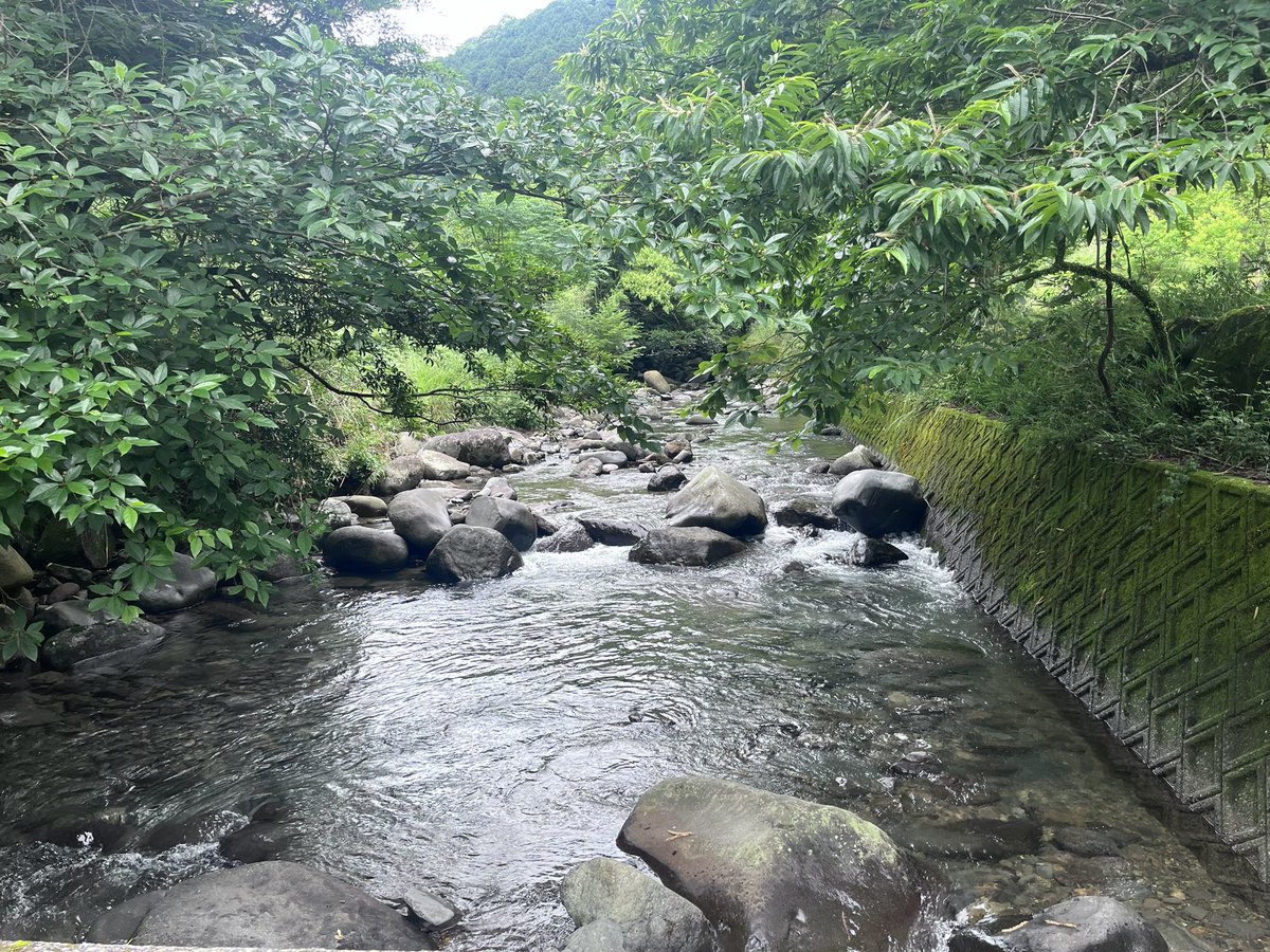hakosuka0923's tweet photo. 今日は次の新築現場の人吉に測量に来ています。
ものすごくのどかな場所で隠れ家には最高の所です🤭
大工工事の着工は夏位になるのかな？川で泳いでやる！🤣 https://t.co/e5y1oweIha