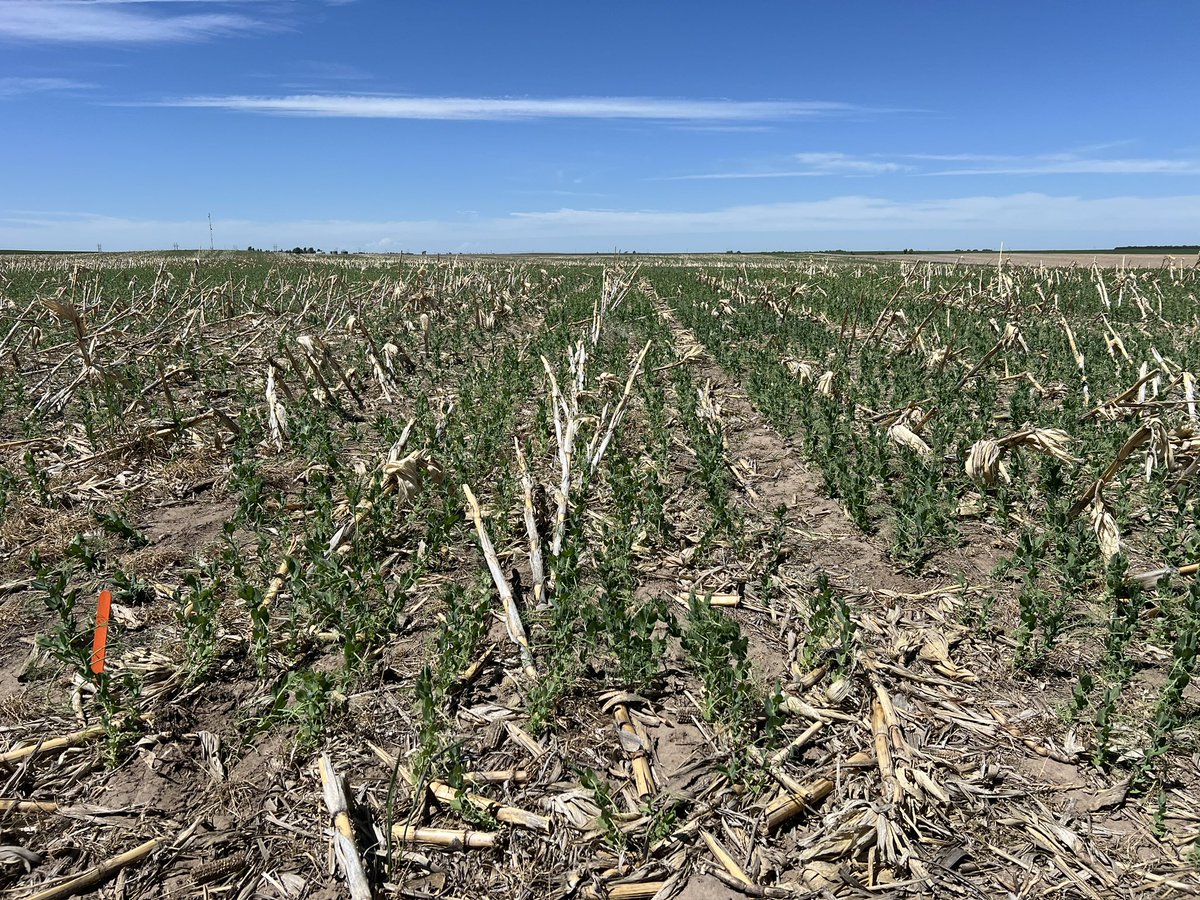 Dipak Santra tweet media