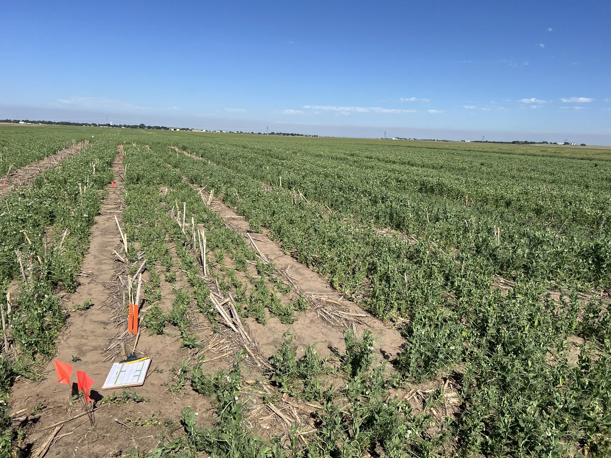 Dipak Santra tweet media