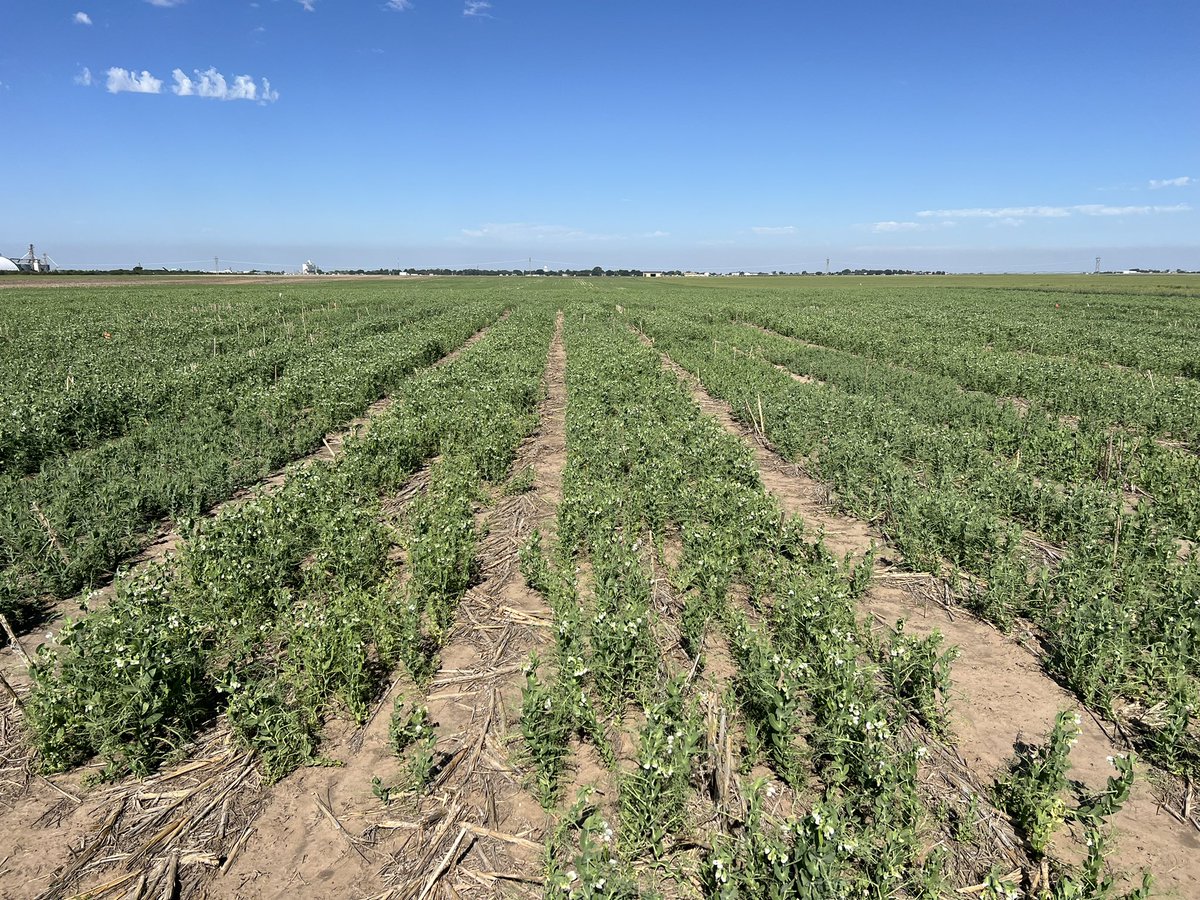 Dipak Santra tweet media